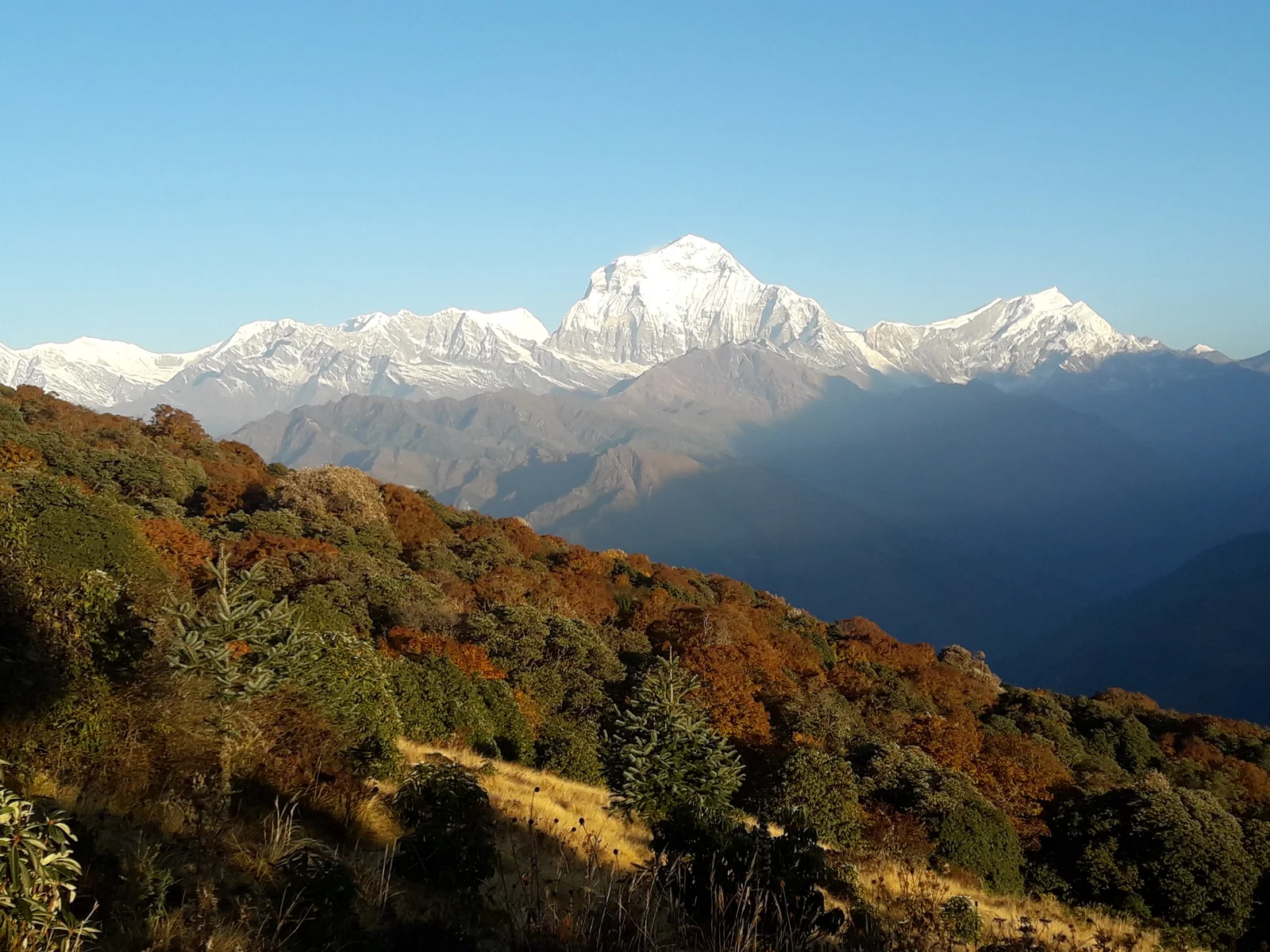 Ghorepani Poon Hill Trek